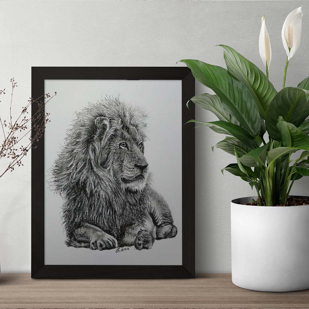 Charcoal Sketch - Lion